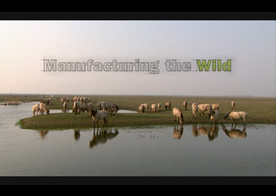 Manufacturing The Wild
